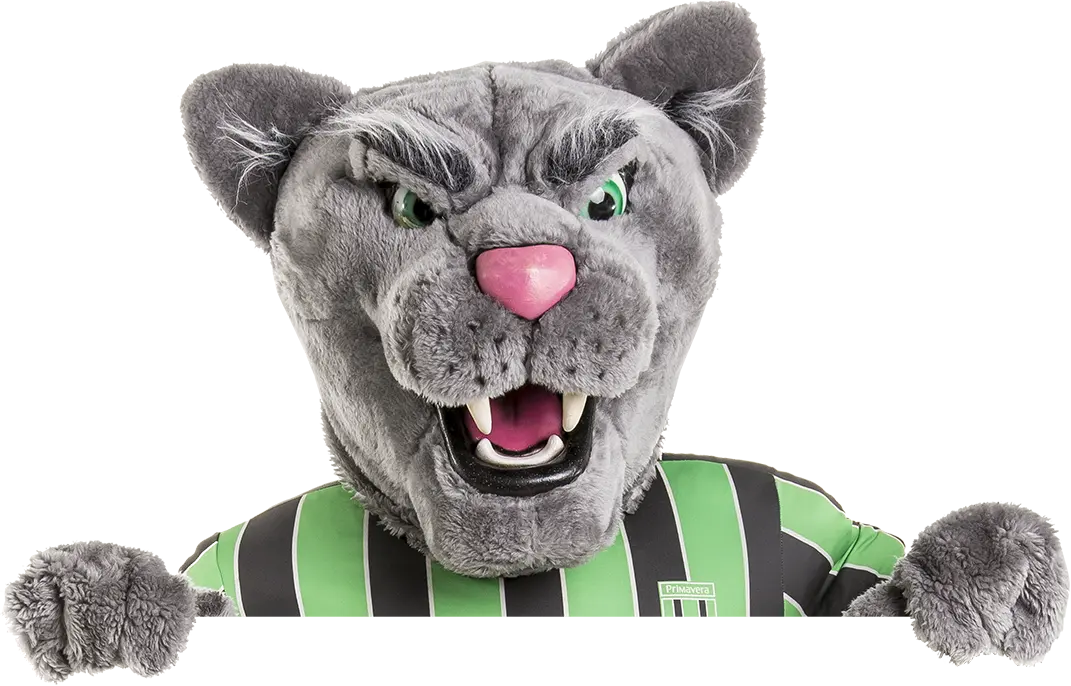 Peyton the Panther mascot.