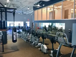 Primavera's gym, featuring treadmills, a boxing ring, punching bag, and weights.