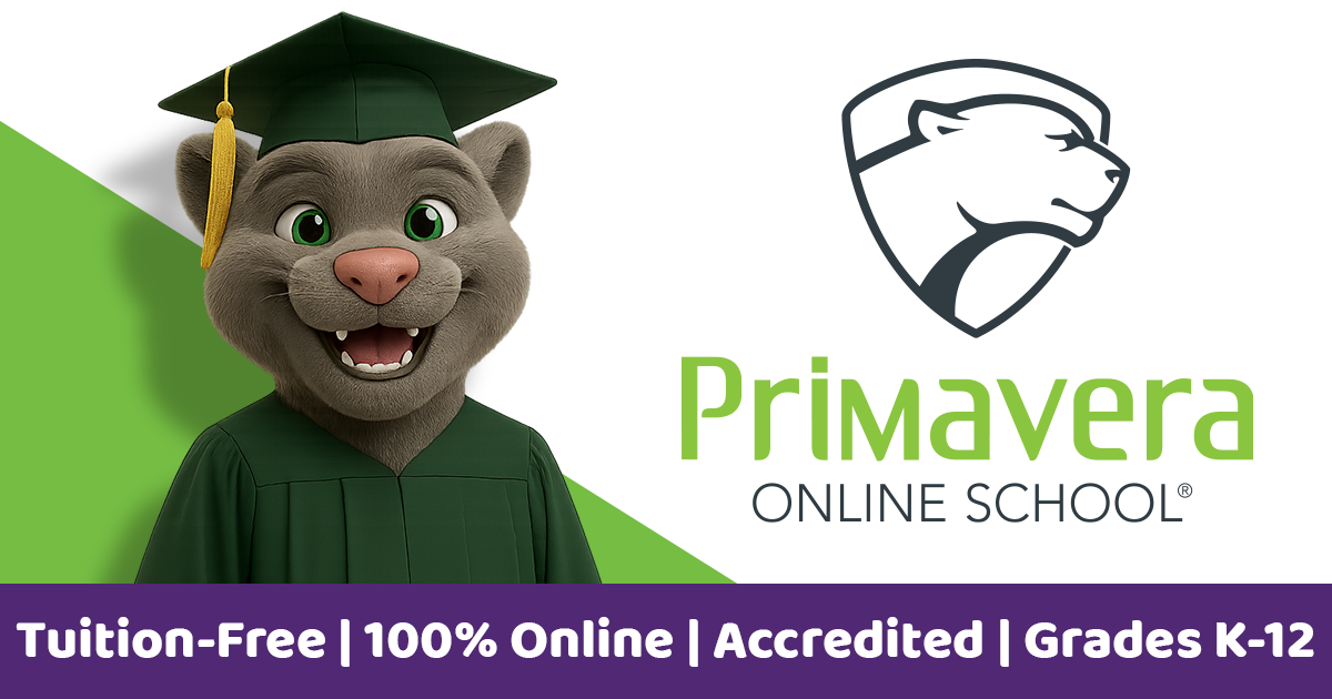 Primavera Online School