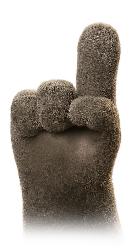 Peyton hand showing step one